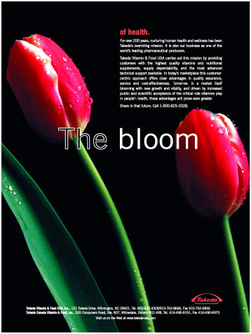 The Bloom - Pictured: Tulips